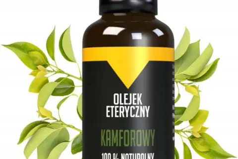 Gdzie kupić olejek kamforowy? Najlepsze miejsca, ceny i zastosowania