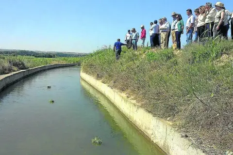 Repartir las aguas para el riego: técnicas efectivas para optimizar el agua