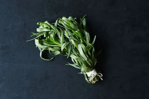 En knippe färska örter med långa, smala blad, som en krydda som smakar lakrits.