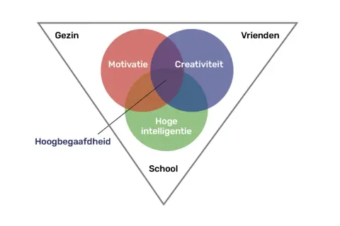 Verschil hoogbegaafd en hoogintelligent: een model met drie cirkels (Motivatie, Creativiteit, Hoge intelligentie) binnen een driehoek (Gezin, Vrienden, School).