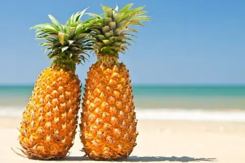 Ile kcal ma ananas? Poznaj wartość kaloryczną tego owocu
