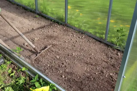 Przygotowanie grządki w szklarni. Grabienie ziemi, która będzie idealna jako jaka ziemia do pomidorów.
