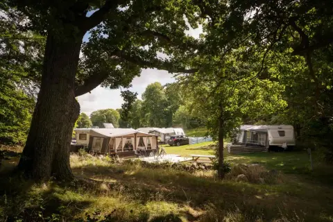 En lugn campingplats i Skönstavik med husvagnar och förtält under stora träd.