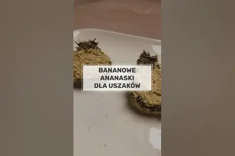 Jak zrobić ciastka dla królika, które zachwycą Twojego pupila