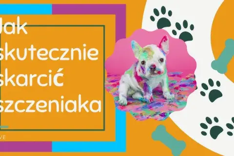 Jak karać szczeniaka? Nie! Wychowaj go pozytywnie i skutecznie.