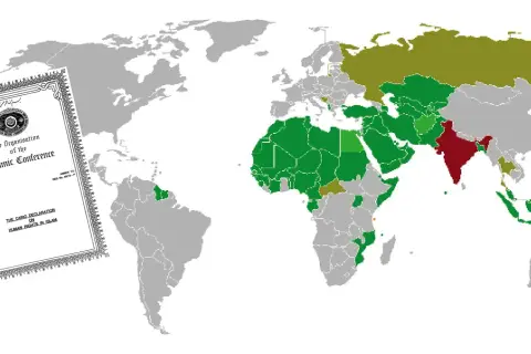 Världskarta visar länder med olika färger, med en text som nämner "The Cairo Declaration on Human Rights in Islam", vilket kan relateras till sharia lagar.