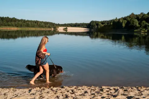 Kobieta z psem spaceruje brzegiem jeziora Dzierżno Duże. Piękny letni dzień nad wodą.