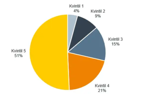 Cirkeldiagram som visar skattefördelning per kvintil. Kvintil 5 betalar 51%, Kvintil 4 21%, Kvintil 3 15%, Kvintil 2 9% och Kvintil 1 4%. Detta kan ge en indikation på vilket land betalar mest skatt.