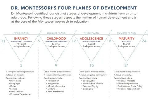 Diagram illustrating Dr. Montessori's four planes of development: Infancy, Childhood, Adolescence, and Maturity, detailing age ranges and key developmental focuses.