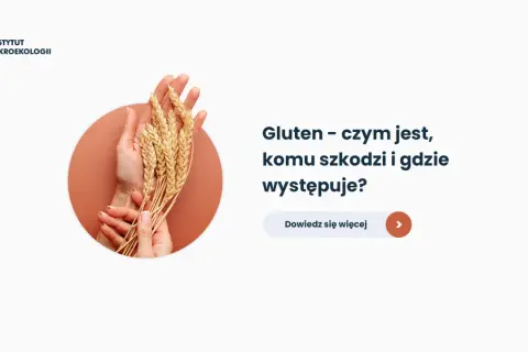 Dłonie trzymające kłosy zbóż. Tekst: "Gluten - czym jest, komu szkodzi i gdzie występuje?". Dowiedz się więcej.
