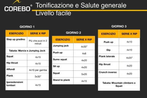 Schema per come iniziare ad allenarsi a casa: esercizi per 3 giorni, con squat, plank e push up.