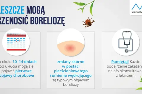 Jak zapobiec boreliozie? Ochrona przed kleszczami krok po kroku