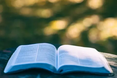 Literatura kobieca: odkryj emocje i siłę w kobietach piszących