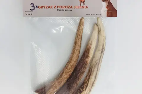 Róg jelenia dla psa od kiedy? Dowiedz się, kiedy jest bezpieczny