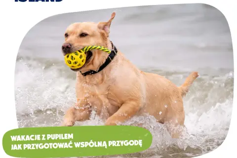Suka zjada szczeniaki? Instynkt, choroba czy stres? Poznaj prawdę.
