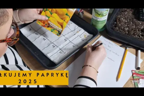 Jak głęboko siać paprykę, aby zapewnić udane kiełkowanie?