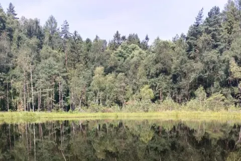 Rezerwaty przyrody pomorskie: Odkryj piękno i bioróżnorodność regionu