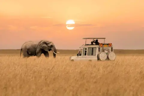Ein Elefant und ein Safari-Jeep im goldenen Gras bei Sonnenuntergang. Ein friedlicher Moment in einem der sichersten afrikanischen Länder für Tierbeobachtungen.