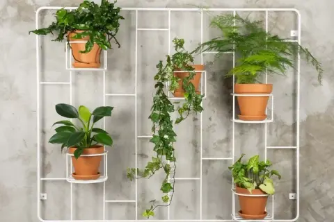 Kwietnik na ścianę DIY – proste sposoby na piękne rośliny w domu