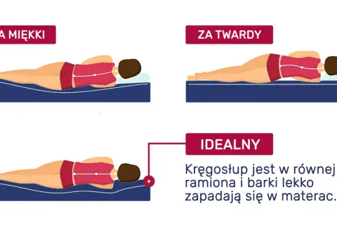 Ilustracja pokazuje, jak producenci materacy prezentują idealne podparcie kręgosłupa.