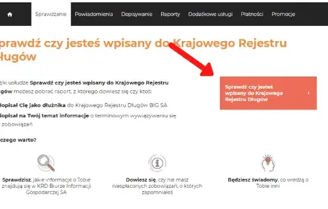 Jak pobrać raport KRD bez problemów i ukrytych kosztów?