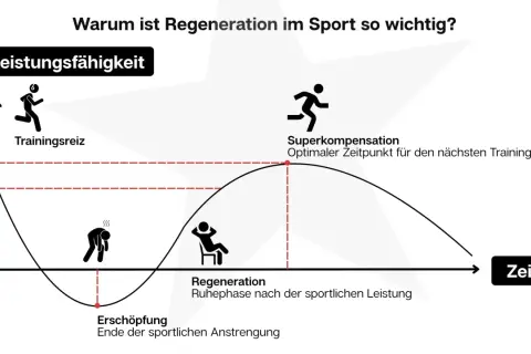 Grafik zeigt den Zyklus von Trainingsreiz, Erschöpfung und Regeneration. Nach der Erschöpfung folgt die Regeneration, die zur Superkompensation führt, dem optimalen Zeitpunkt für den nächsten Trainingsreiz.