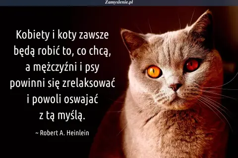Kot z ognistymi oczami i cytaty o kotach: "Kobiety i koty zawsze będą robić to, co chcą, a mężczyźni i psy powinni się zrelaksować i powoli oswajać z tą myślą.