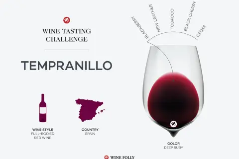 Tempranillo, najpopularniejsze hiszpańskie wino, pełne aromatów jeżyn, skóry i tytoniu.