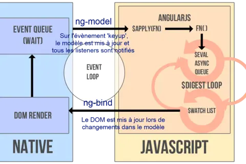 Schéma expliquant le fonctionnement d'AngularJS, avec l'event loop, le DOM render et le digest loop.