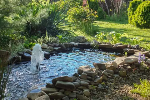 A garden pond with a fountain, surrounded by rocks and lush green plants.