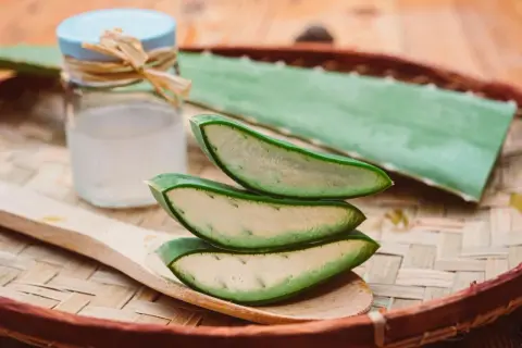 Tranches d'aloe vera sur une cuillère en bois, prêtes à soulager un coup de soleil. Gel d'aloe vera dans un pot à côté.