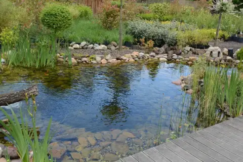 Un étang de jardin paisible avec des poissons rouges, des plantes aquatiques et un ponton en bois. Le soleil se reflète sur l'eau, suggérant le taux d'évaporation de l'eau.