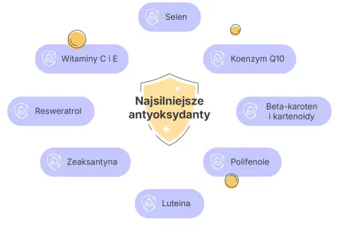 Diagram przedstawia co to są antyoksydanty, wymieniając m.in. witaminy C i E, selen, koenzym Q10, beta-karoten, luteinę.