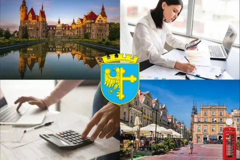 Kolaż: zamek, kobieta z kalkulatorem, herb Opola, rynek miejski.