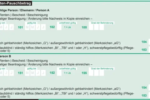 Formular zur Beantragung eines Behinderten-Pauschbetrags. Felder für den Grad der Behinderung und Angaben zur Person A und B.