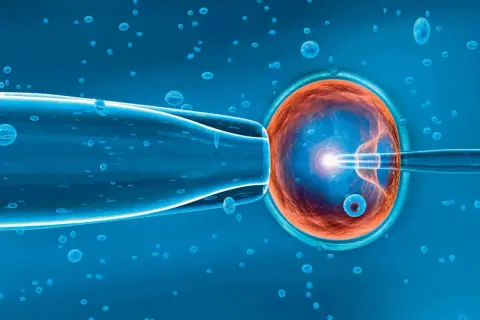Inseminacja komórki jajowej metodą in vitro. Czy in vitro to grzech? Pytanie o etykę i moralność tej metody wspomaganego rozrodu.