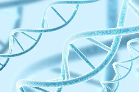Błękitne, spiralne struktury DNA, symbolizujące polimorfizm i różnorodność genetyczną, unoszą się w eterycznym tle.