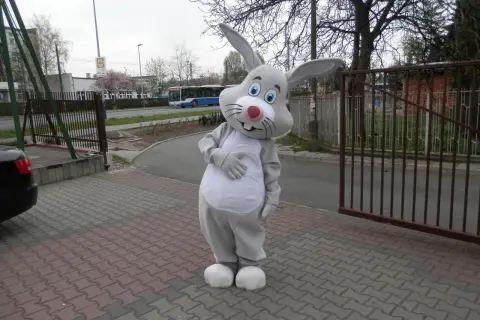 Strój zająca z dużymi uszami i białym brzuchem stoi na chodniku z kostki brukowej.