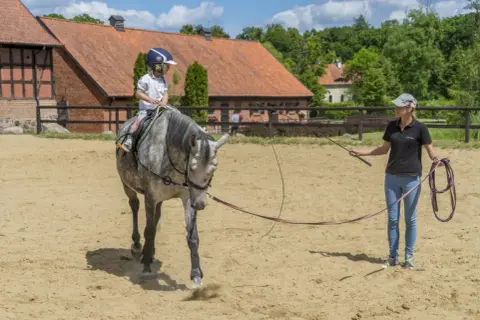 Stadnina koni w Markach - najlepsze miejsca na jazdę konną i opiekę