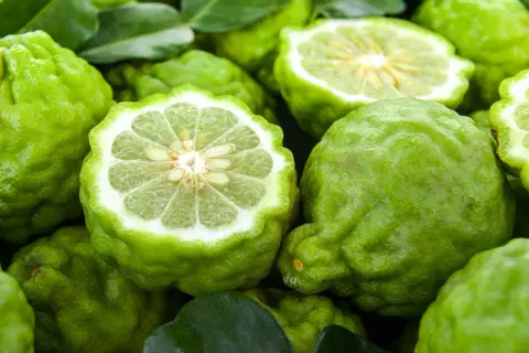 Bergamotas verdes, algunas enteras y otras cortadas por la mitad, revelan su pulpa jugosa y semillas.
