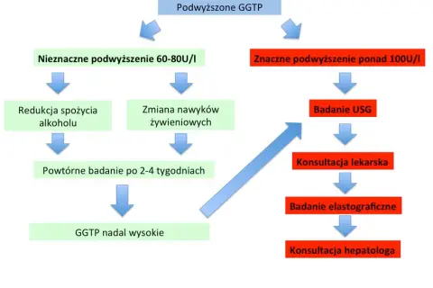 GGTP: Co oznacza podwyższony wynik? Normy, przyczyny i jak obniżyć