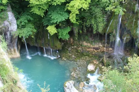 Les cascades du Saut du Loup dévalent une falaise verdoyante dans un bassin d'eau turquoise. Un spectacle naturel saisissant.