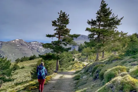 Senderista camina por un sendero de montaña, disfrutando de las vistas de las cumbres nevadas y la vegetación. Un día perfecto para las rutas de senderismo en Capileira.