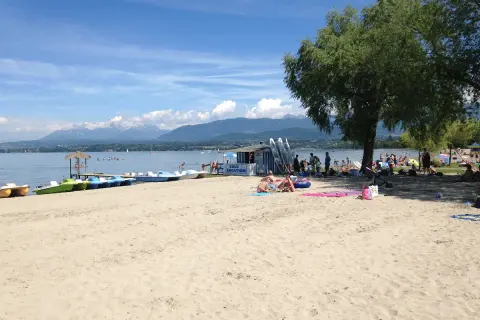 Sonniger Strand am Genfer See mit vielen Menschen, Tretbooten und einem Baum.