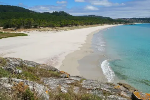 Vista panorámica de la playa del medio, con arena blanca, aguas turquesas y pinos verdes.