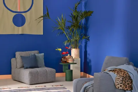 Ein gemütliches Wohnzimmer mit einem grauen Sofa und passender Wandfarbe in leuchtendem Blau. Dekorative Kissen und eine Pflanze sorgen für Gemütlichkeit.