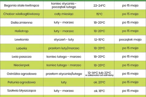 Jakie kwiaty siejemy w lutym, aby uzyskać piękne ogrody?