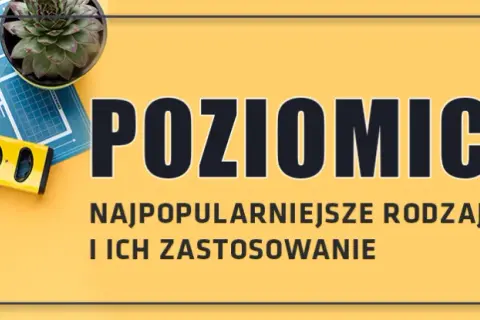 Poziomica wężowa do czego służy i jak uniknąć błędów w użyciu