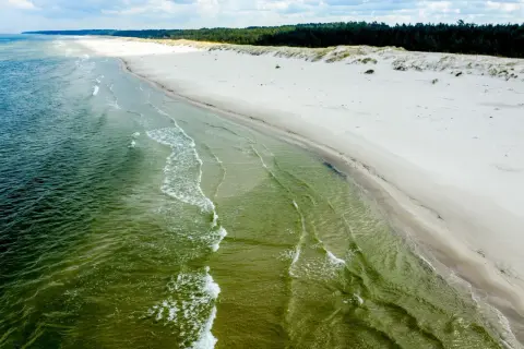 Szeroka, piaszczysta plaża Słajszewo z zielonkawą wodą i lasem w tle.