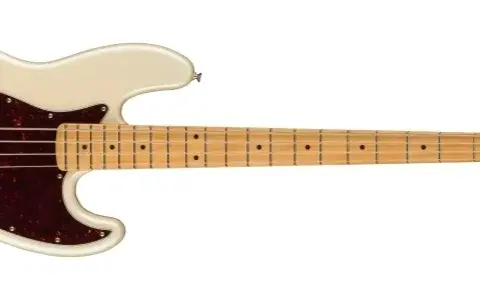 Bas czy elektryk? Wybierz idealną gitarę na start!
